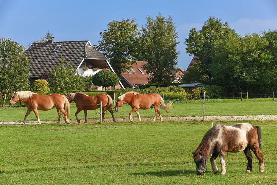 Ferienhof Zur Alten Linde Holtgast Exterior photo